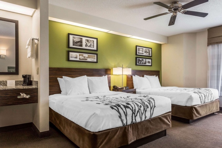 Standard Quadruple room