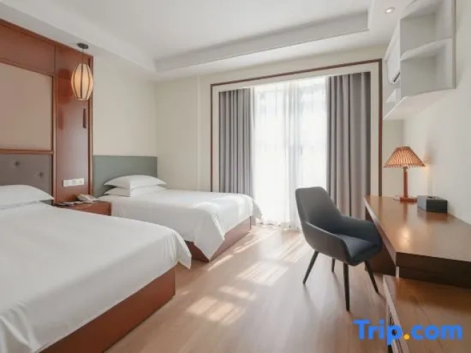 Executive Twin Family room