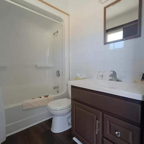 Standard Twin Basement room with ocean view