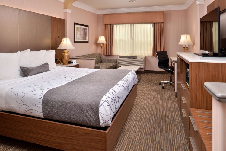 Standard Double room with pool view