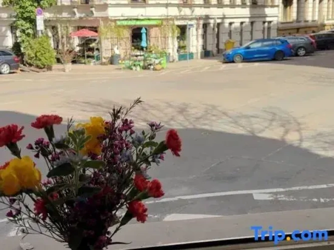 1 Bedroom Double Apartment