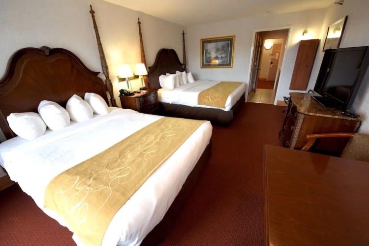 Standard Quadruple room