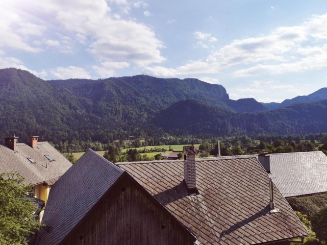 Standard Twin room with view