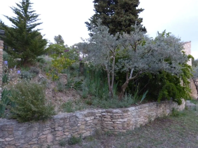 1 Bedroom Double Cottage