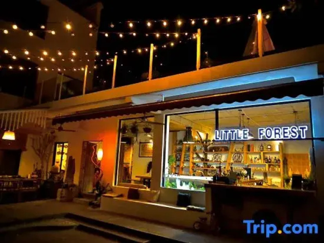 Little Forest Guesthouse
