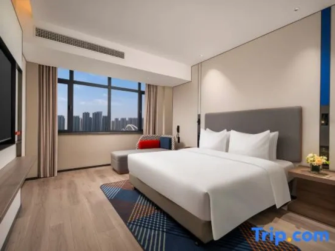 1 Bedroom Single Suite