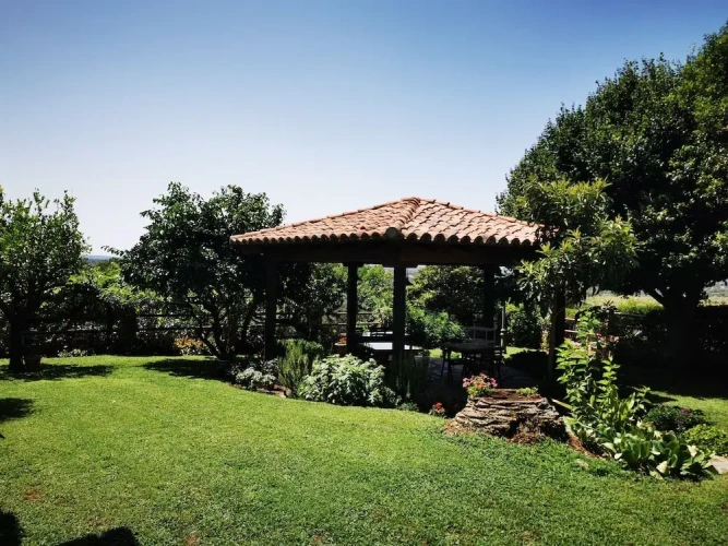 Standard Double room with garden view