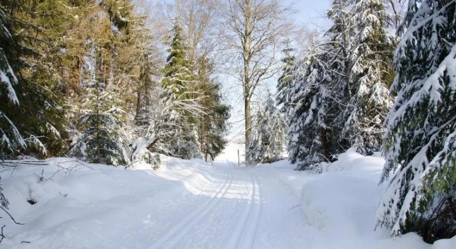 Pension Waldesruh