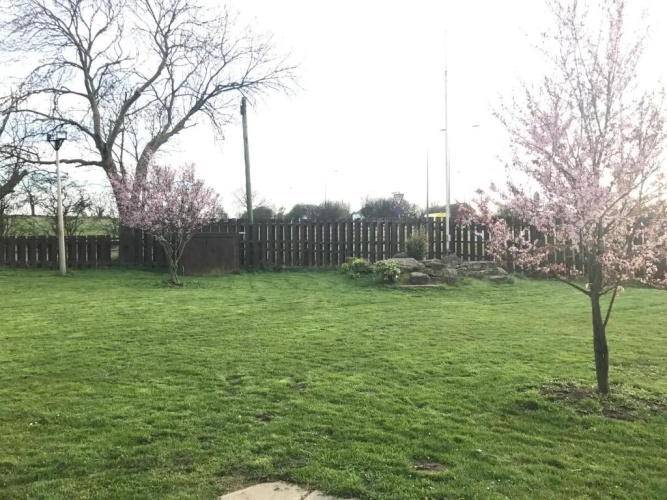 The Windmill