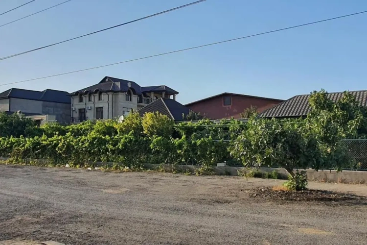 Standard Villa