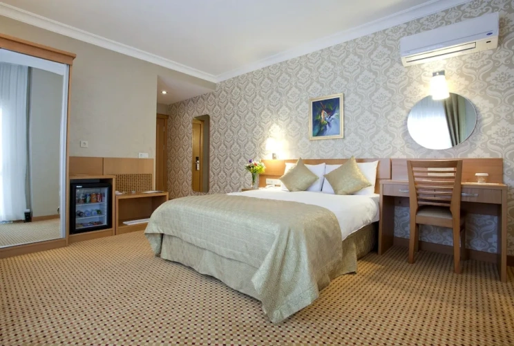 Business Double room with city view