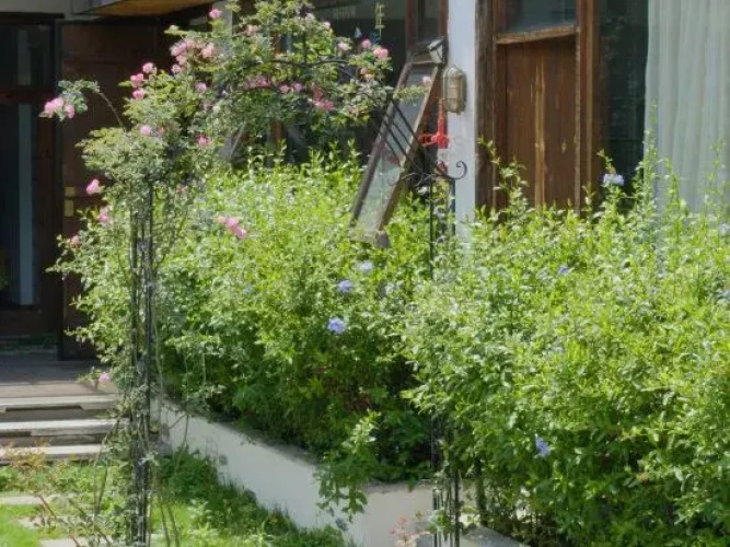 Dali Monet's Garden Retro Homestay