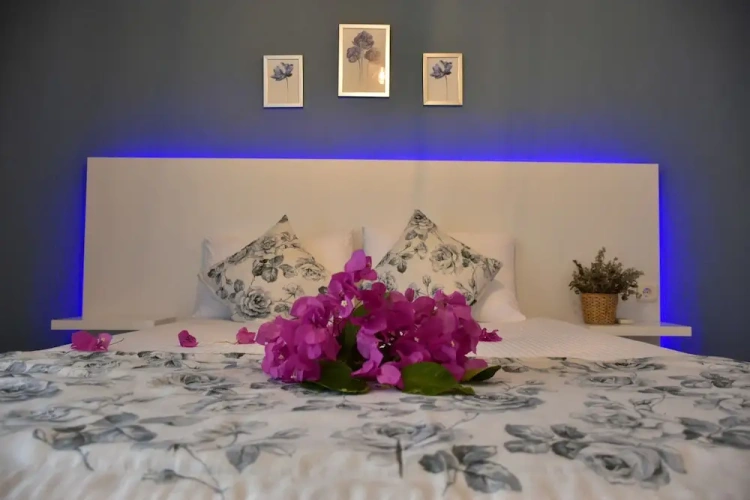 2 Bedrooms Triple Apartment