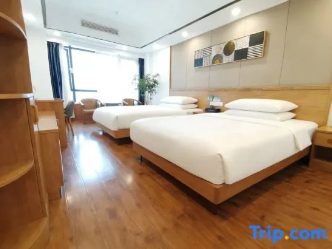 Standard Twin room with street view