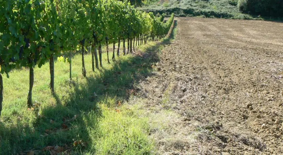 Appartamento Vicino a Siena