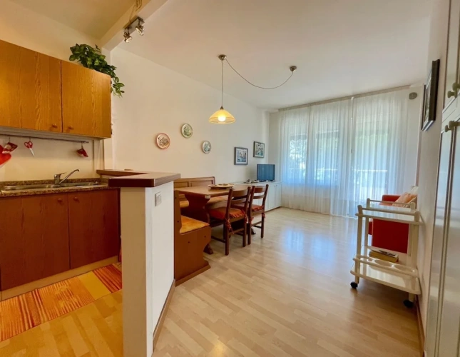 1 Bedroom Apartment with balcony and with ocean view