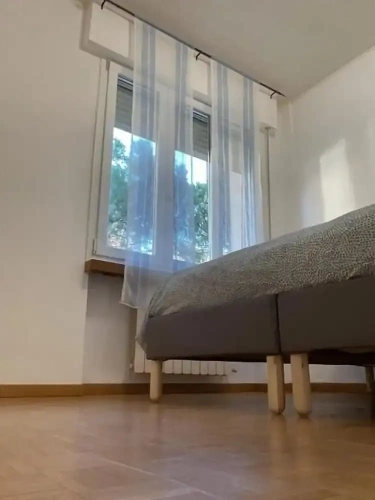 Classic Apartment