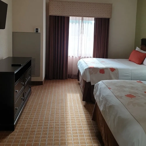 1 Bedroom Executive Suite