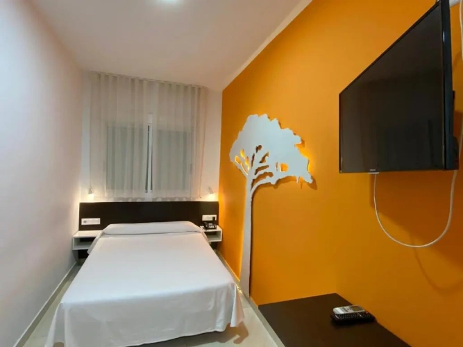Standard Single room