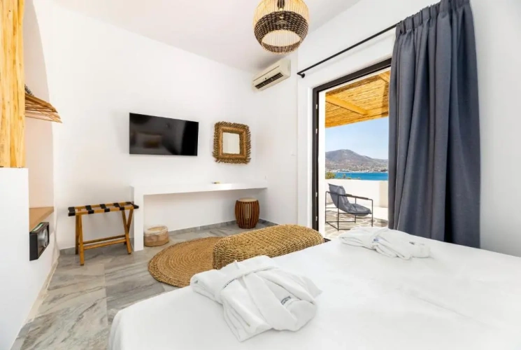 Standard Double room with sea view