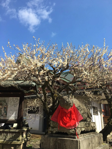 Tsubame-ya - Hostel