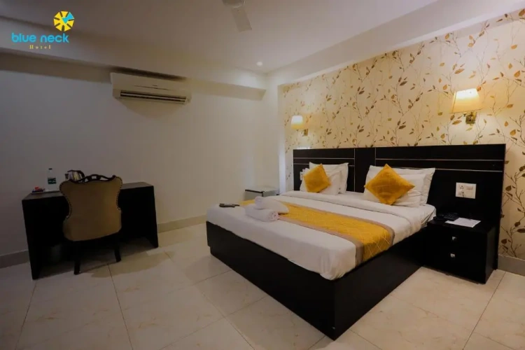 1 Bedroom Deluxe Single room