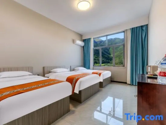 Deluxe Family Suite with city view