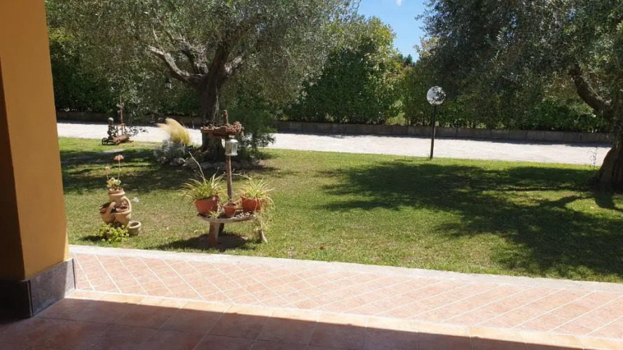 L'Antico Vigneto