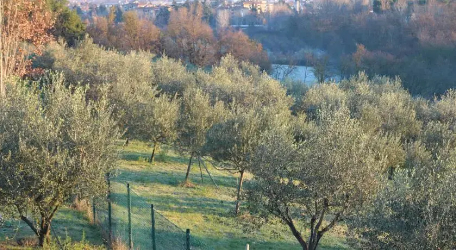 Corte Dell'Abbadessa