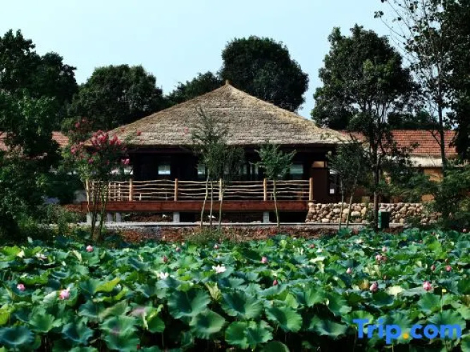 Majiu Hotel