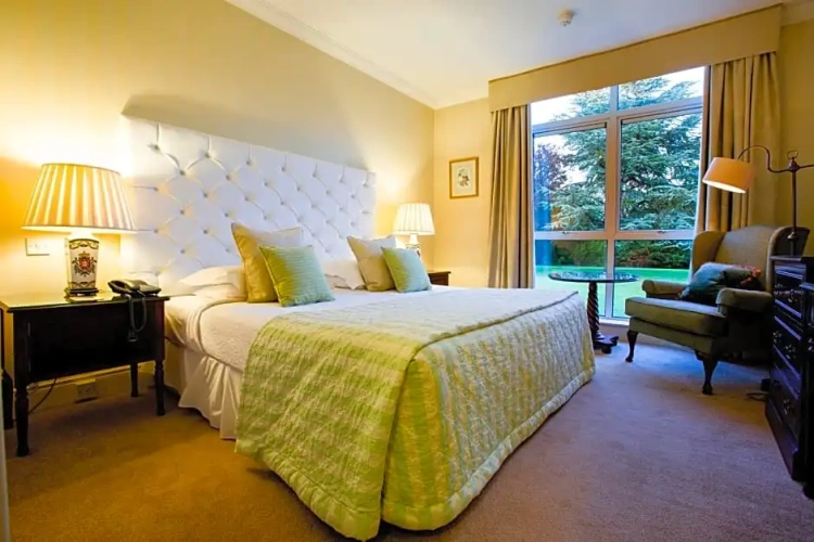 Standard Single room with view