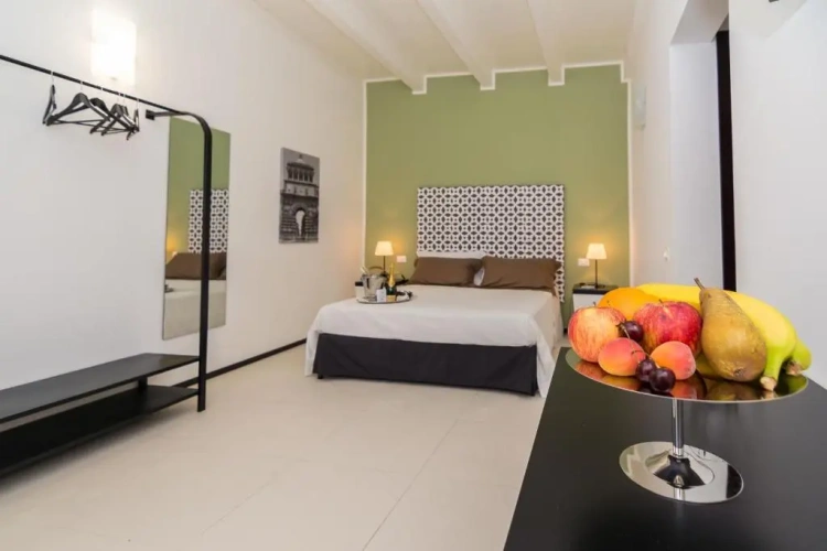 Standard Double room with balcony and with view