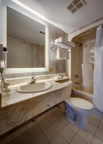 Monte Carlo Inn Toronto Markham Suites photo 11