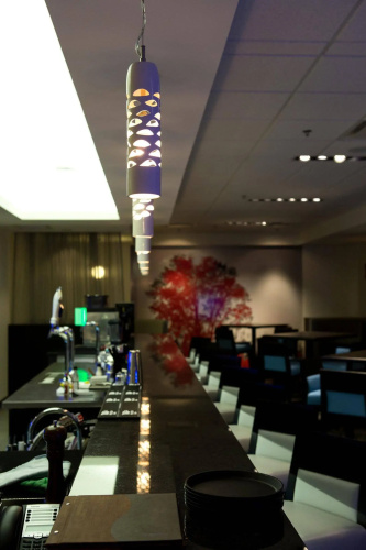 The Grand Winnipeg Airport Hotel photo 16