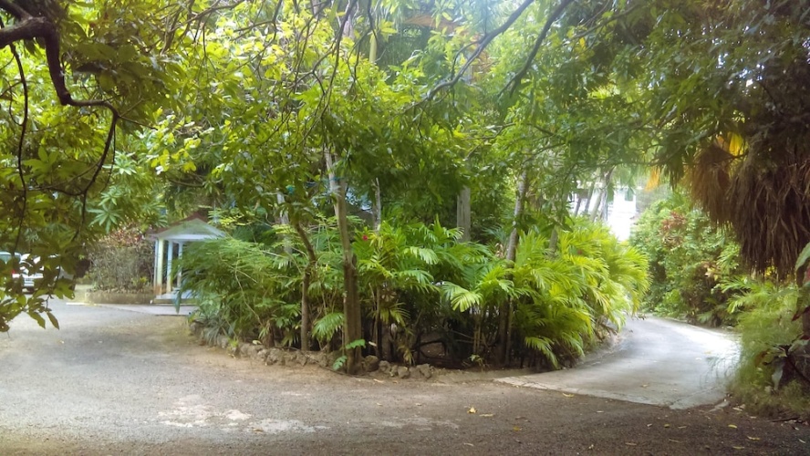 Outside