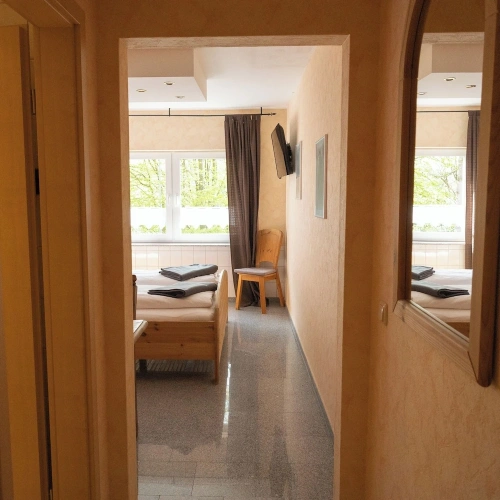 Standard Double room with mountain view