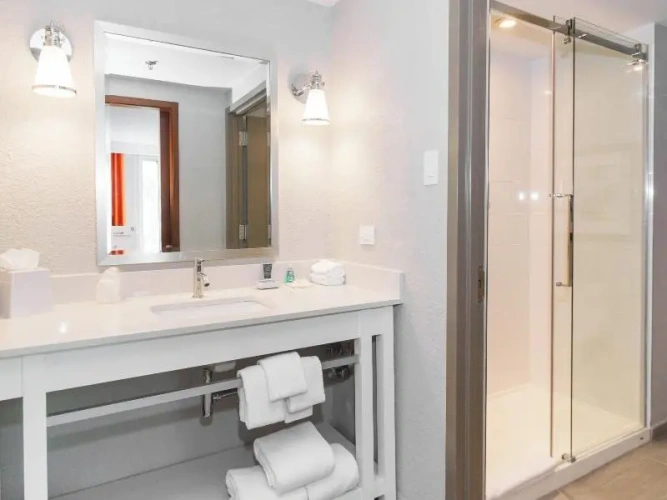 Deluxe Suite with view