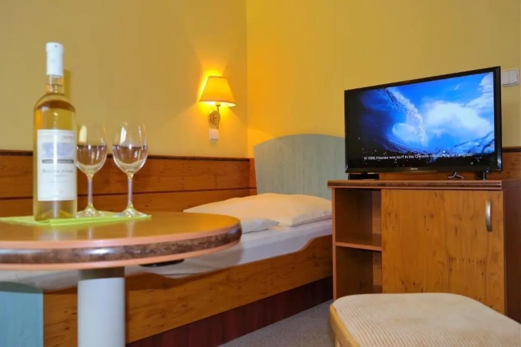 Standard Single room