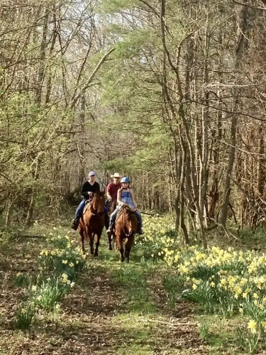 Sweetspire Ranch