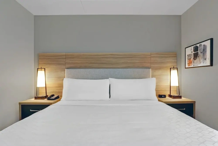 Single Suite