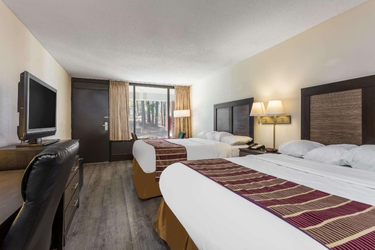 Standard Quadruple room