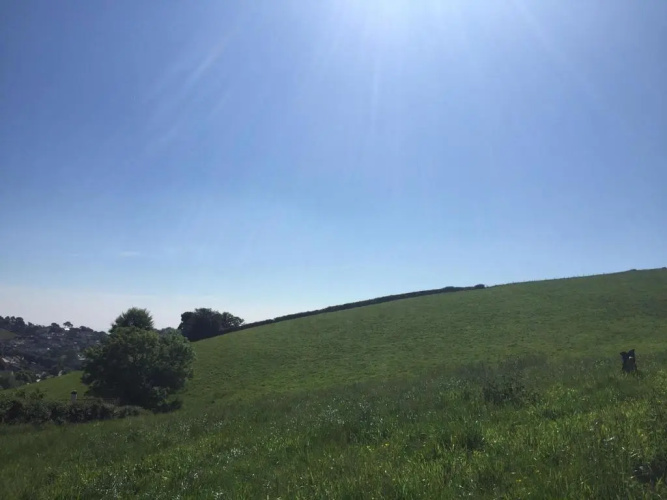 Manor Farm