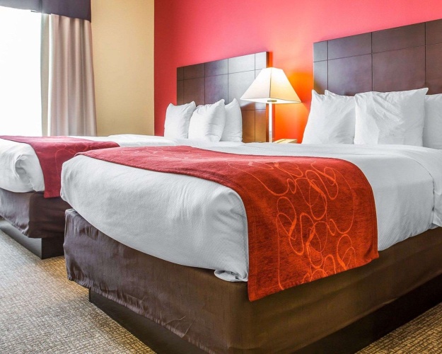 Quadruple Suite