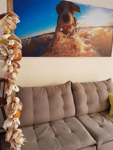 Suites Corais
