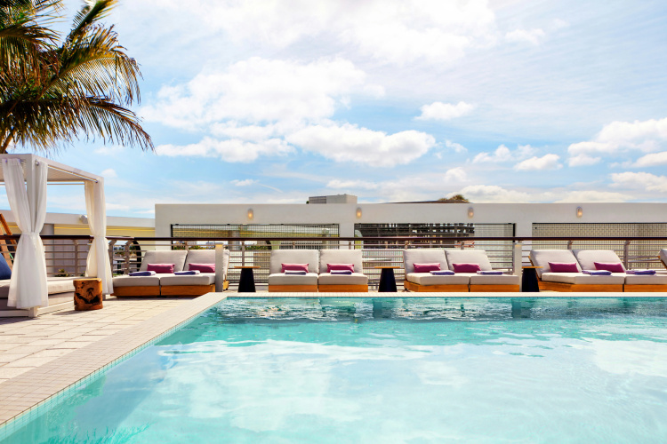 Kimpton Hotel Palomar South Beach photo 17