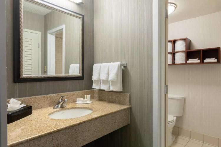1 Bedroom Suite