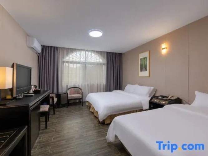 Twin Suite