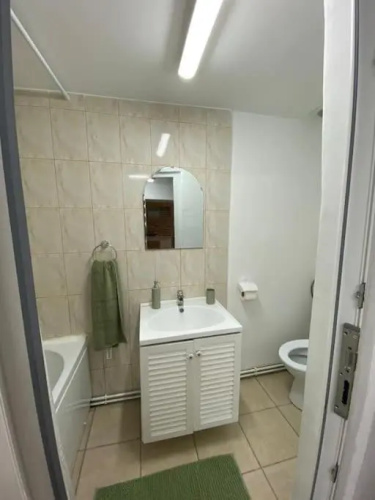 House Apartment in Timisoara