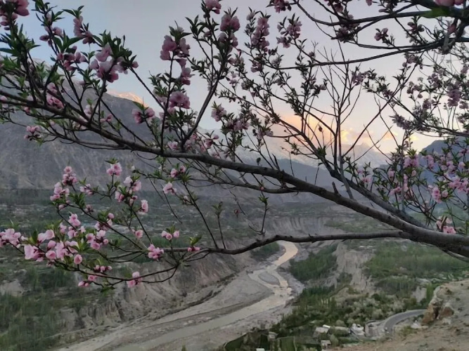 Sakura Lodges Hunza