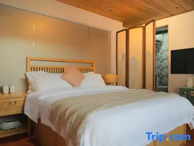 Standard Double room with courtyard view